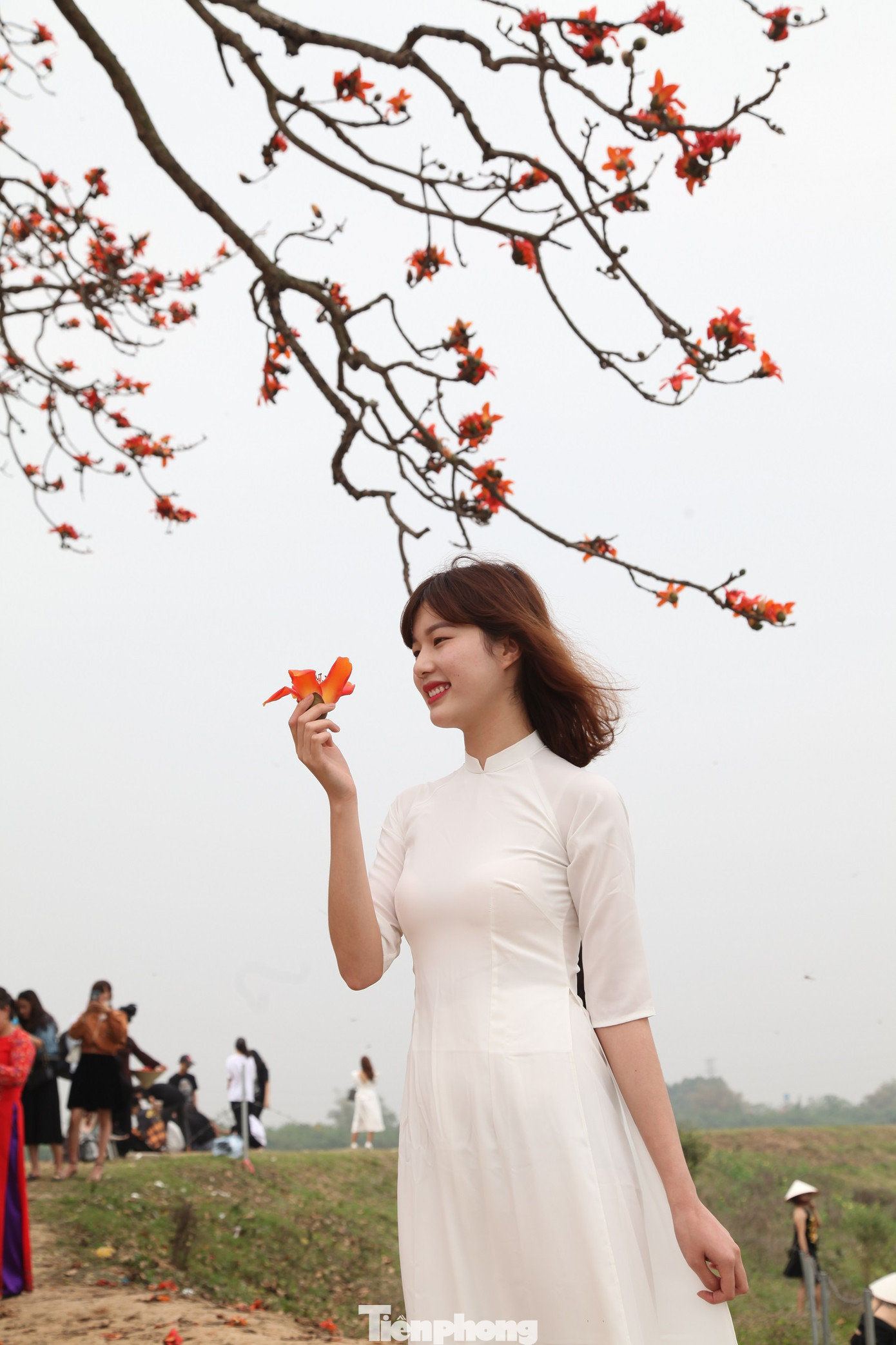 Dòng người tấp nập đổ về chiêm ngưỡng cây gạo cổ thụ ở Bắc Giang ảnh 12