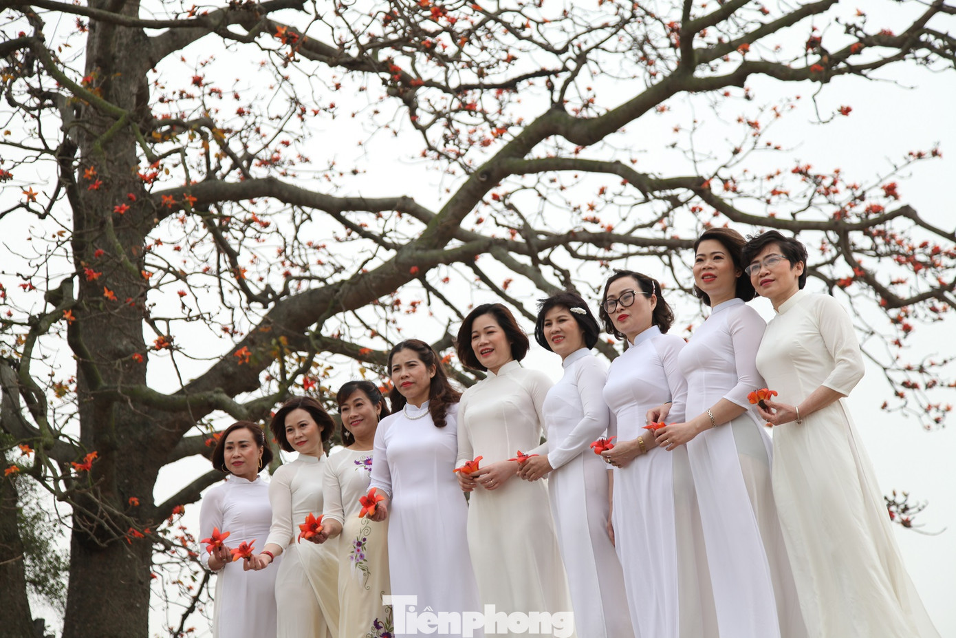 Dòng người tấp nập đổ về chiêm ngưỡng cây gạo cổ thụ ở Bắc Giang ảnh 4