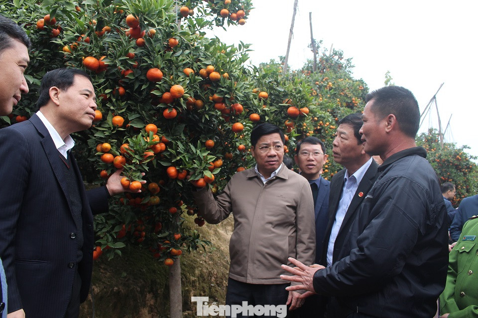 Bộ trưởng Nguyễn Xuân Cường 'xông đất' vựa cây ăn quả Bắc Giang ảnh 4