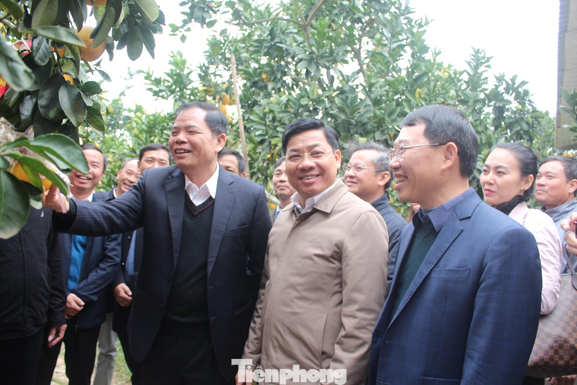 Bộ trưởng Nguyễn Xuân Cường 'xông đất' vựa cây ăn quả Bắc Giang ảnh 1