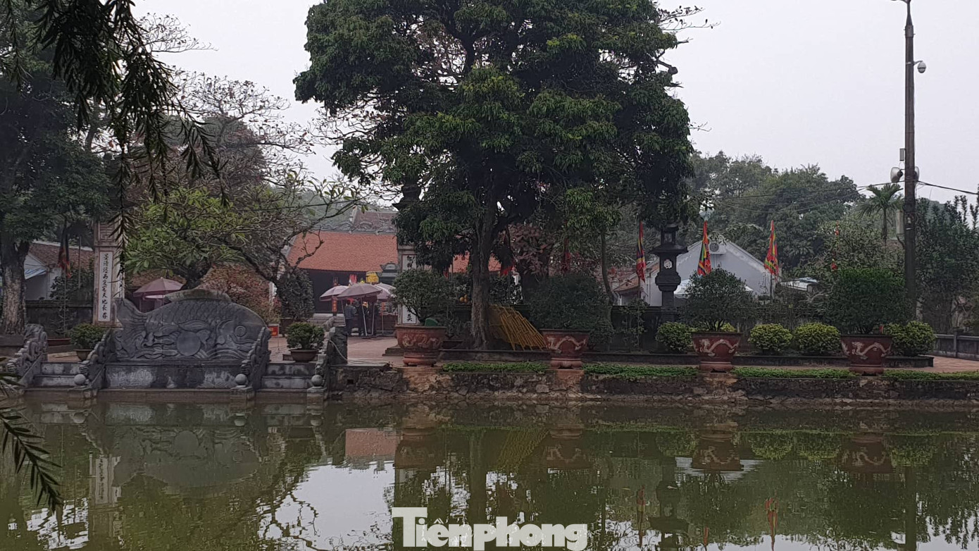 Đền Trần đóng cửa, không tổ chức phát ấn đêm 7/2 ảnh 10