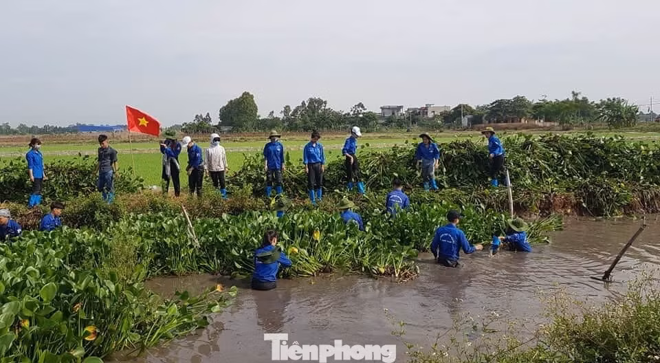 Gia đình đoàn viên ở Hà Nam hiến hơn 1.000 m2 đất ảnh 5