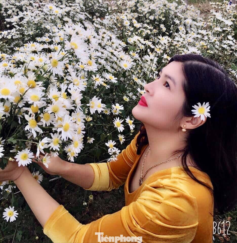 Thảm cúc họa mi trắng tinh khôi ở Nam Định 'hút' giới trẻ ảnh 9