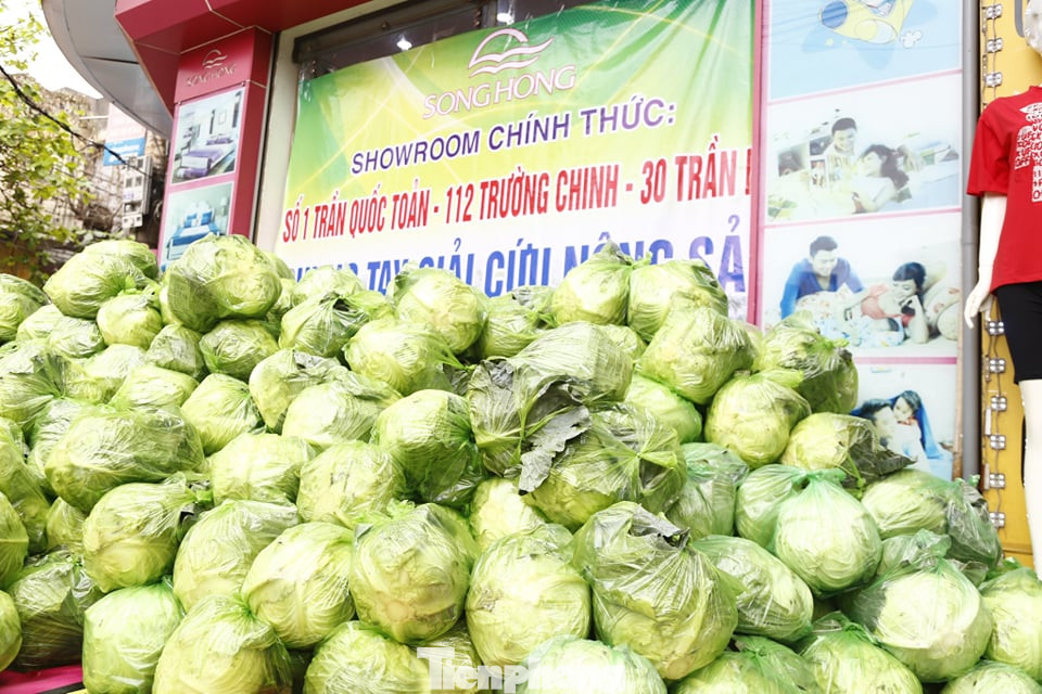 Giải cứu hàng chục tấn nông sản cho Hải Dương ảnh 1