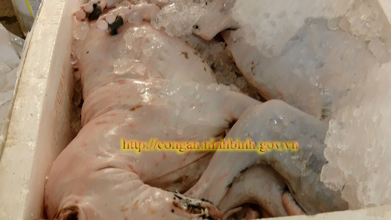 Chở cả xe động vật hoang dã và hàng lậu từ Đắk Lắc ra Hà Nội tiêu thụ ảnh 2