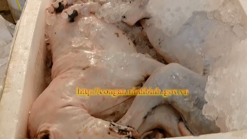 Chở cả xe động vật hoang dã và hàng lậu từ Đắk Lắc ra Hà Nội tiêu thụ ảnh 2
