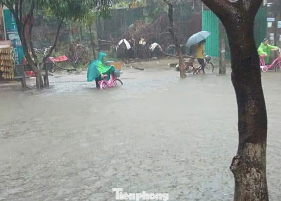 Mưa lớn kéo dài, các tuyến phố Thái Bình thất thủ, biến thành sông ảnh 7