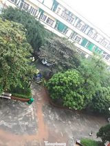 Mưa lớn kéo dài, các tuyến phố Thái Bình thất thủ, biến thành sông ảnh 17