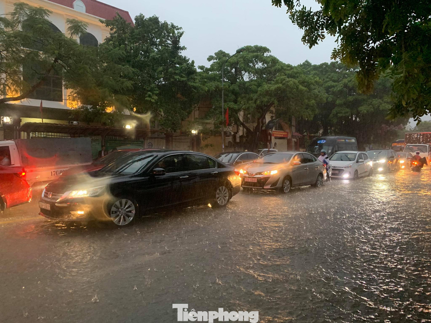 Mưa lớn kéo dài, các tuyến phố Thái Bình thất thủ, biến thành sông ảnh 10