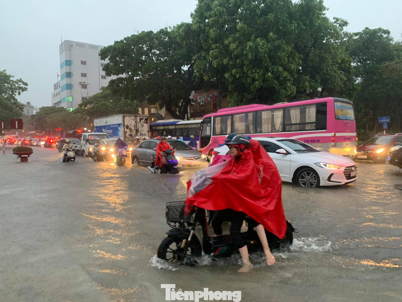 Mưa lớn kéo dài, các tuyến phố Thái Bình thất thủ, biến thành sông ảnh 14