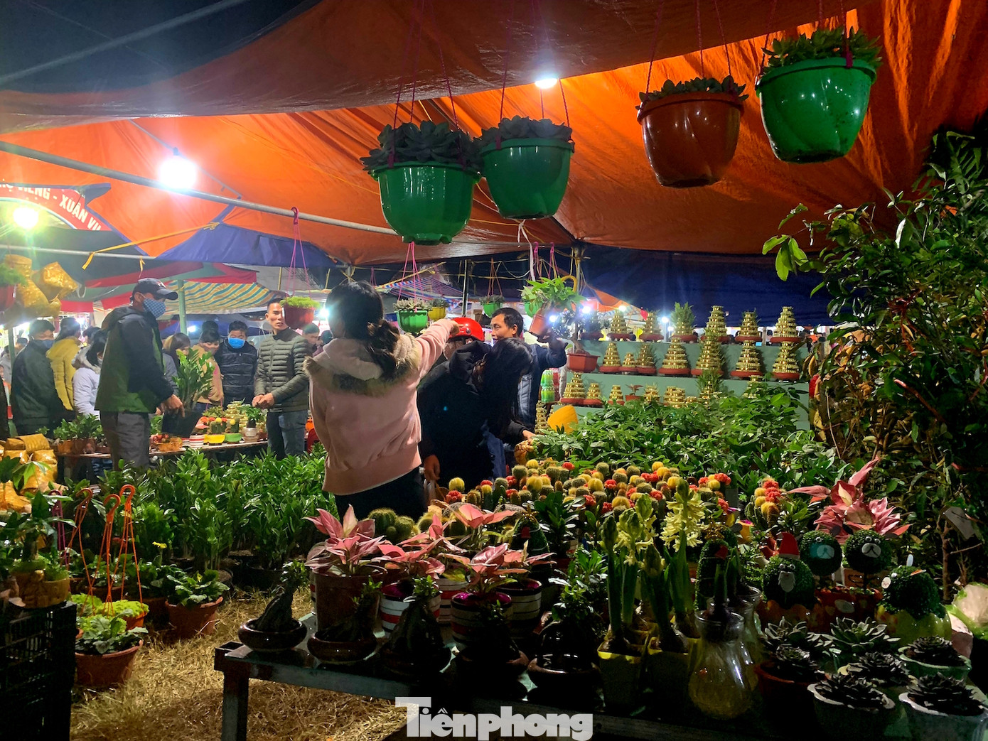 Bất chấp dịch, hàng vạn người vẫn chen lấn dự chợ Viềng Nam Định ảnh 9