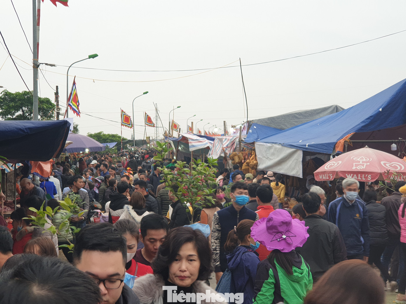 Bất chấp dịch, hàng vạn người vẫn chen lấn dự chợ Viềng Nam Định ảnh 19