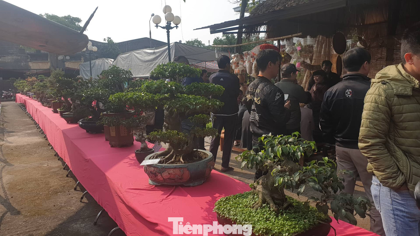 Ấn tượng với chợ Tết ‘Một thoáng Thành Nam’ ảnh 8