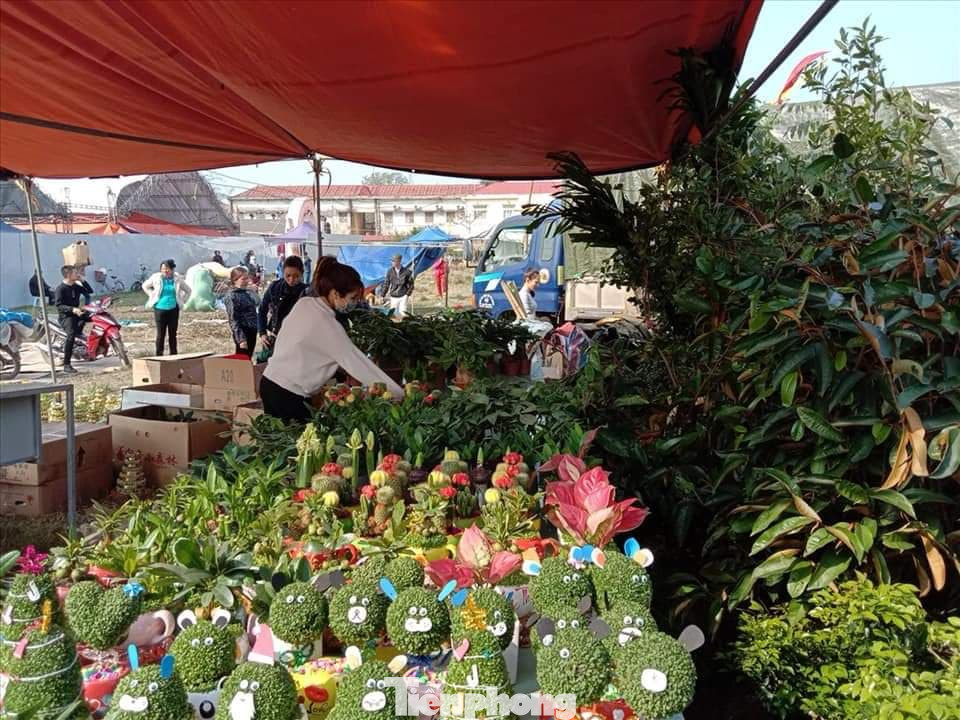 Bất chấp dịch, hàng vạn người vẫn chen lấn dự chợ Viềng Nam Định ảnh 8