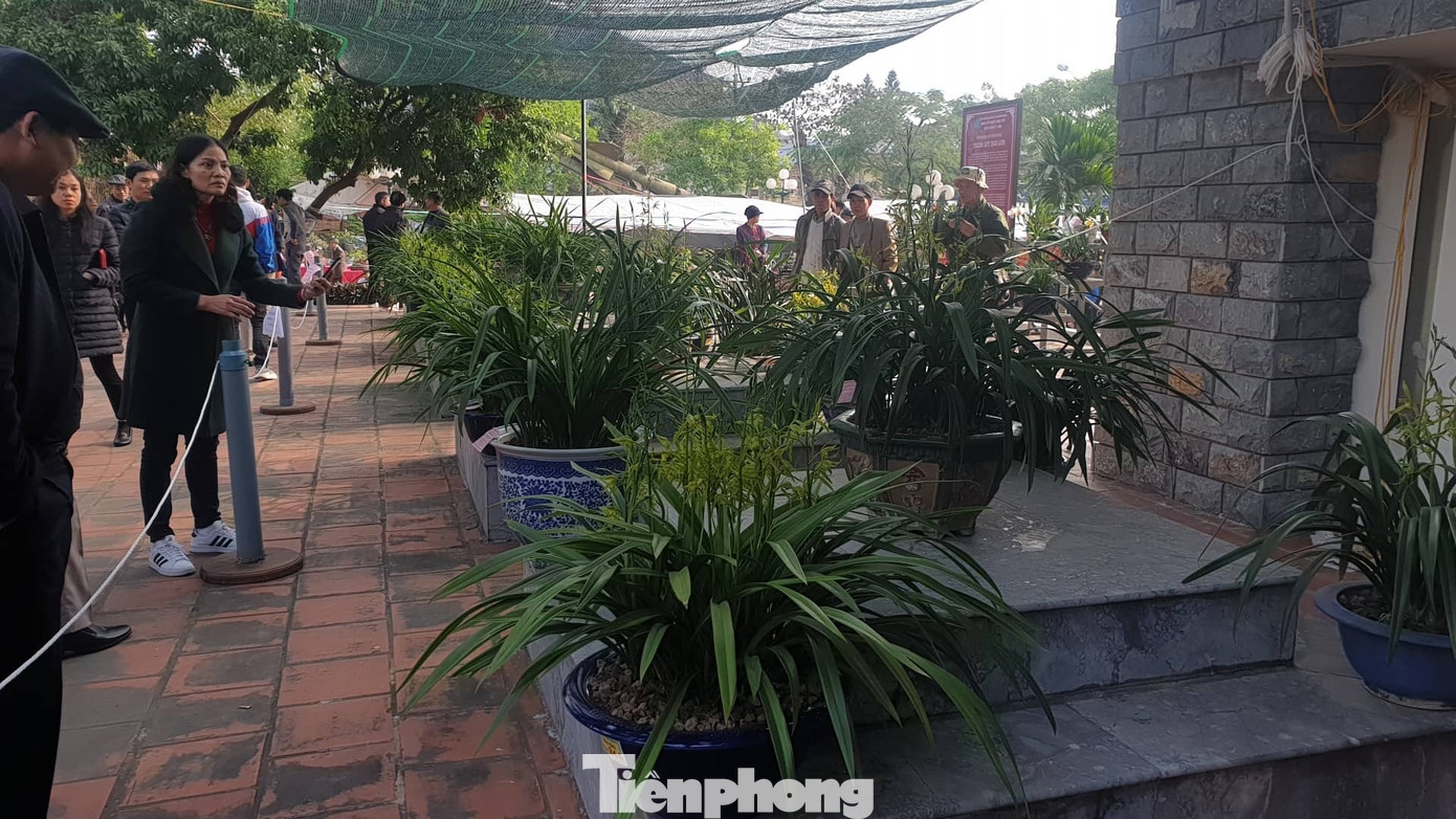 Ấn tượng với chợ Tết ‘Một thoáng Thành Nam’ ảnh 10