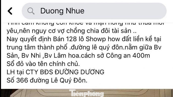 Thái Bình huỷ kết quả đấu giá 128 lô đất 'vàng' được Đường 'Nhuệ' rao bán ảnh 6