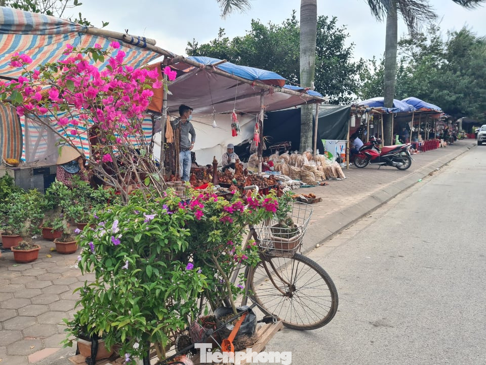 Lần đầu tiên đền Trần vắng nhất trong hơn 30 năm qua, phát ấn theo cách đặc biệt ảnh 9