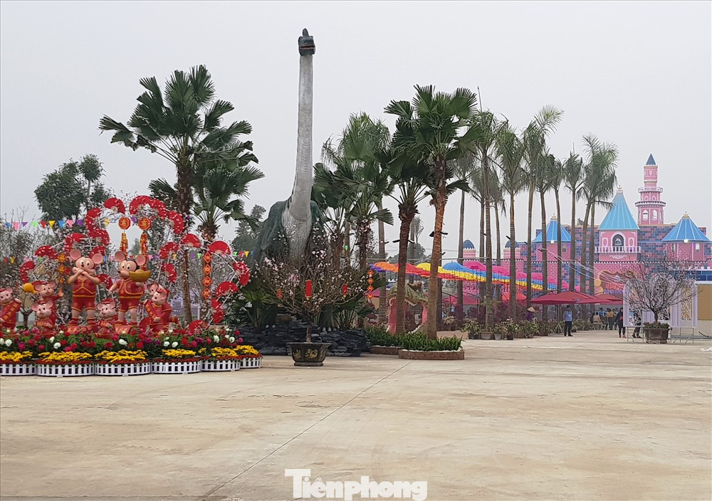 Khai trương Công viên Khủng long tại thành phố Ninh Bình ảnh 10