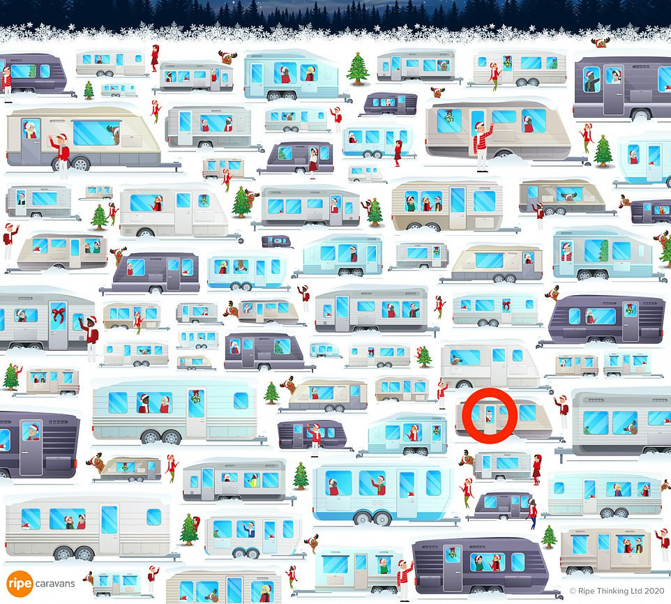 Trò chơi ‘hack não’ mùa Giáng sinh: Tìm chú gấu lẩn trốn giữa đàn tuần lộc ảnh 7