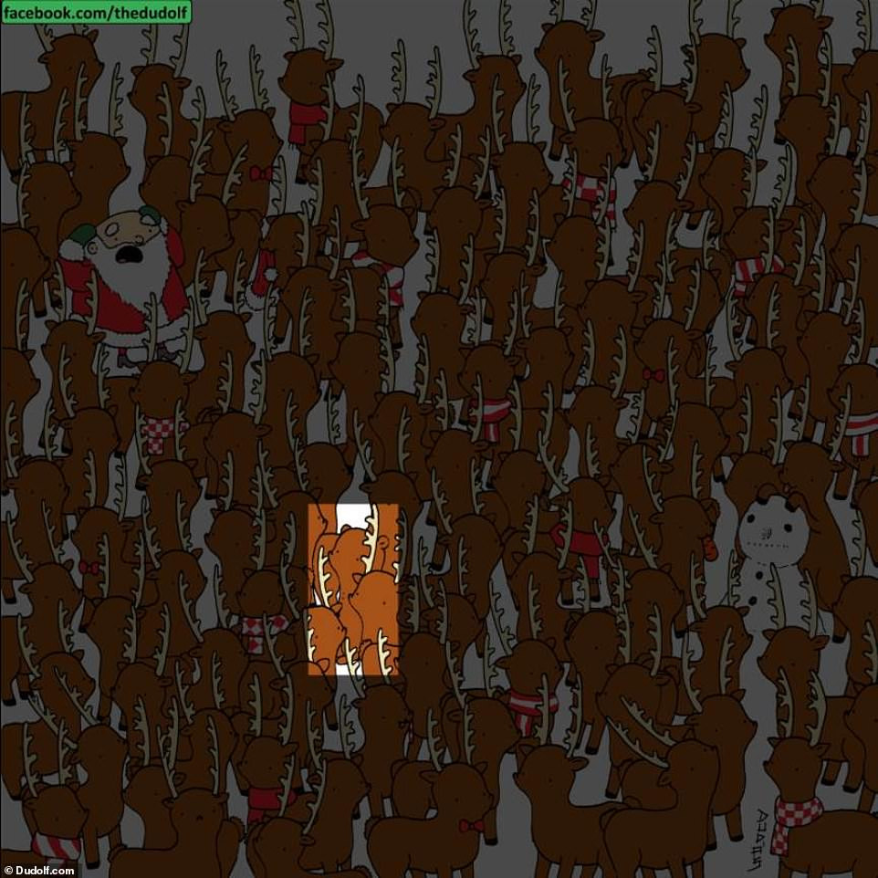 Trò chơi ‘hack não’ mùa Giáng sinh: Tìm chú gấu lẩn trốn giữa đàn tuần lộc ảnh 6