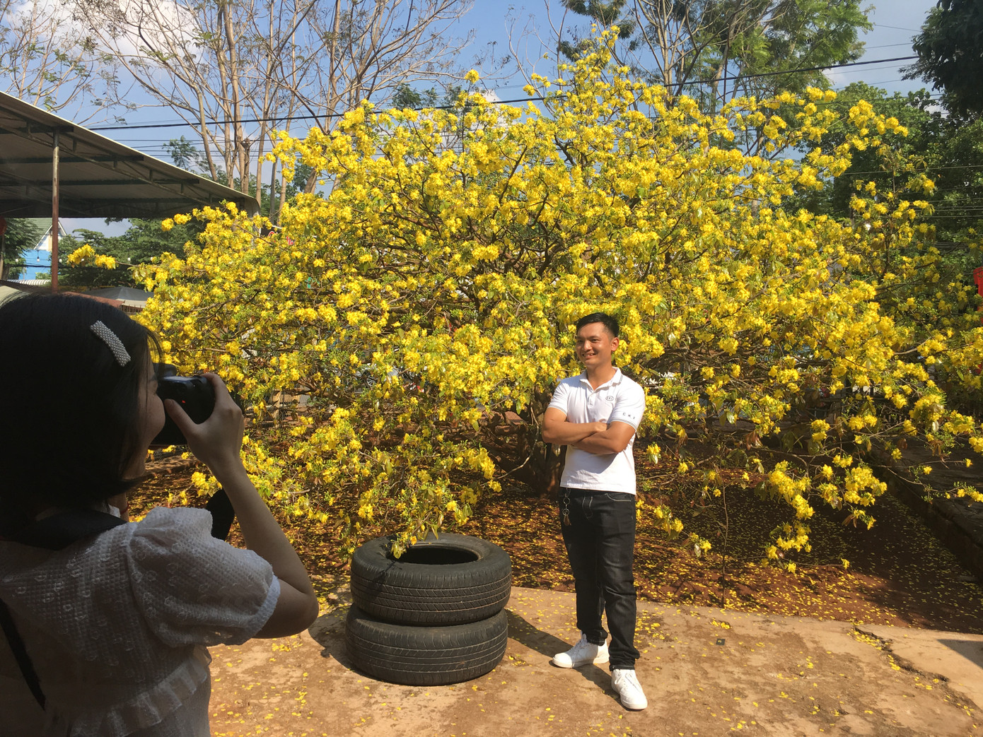 Nườm nượp du khách đến 'check-in' tại cây mai vàng 57 tuổi ở Đồng Nai ảnh 1