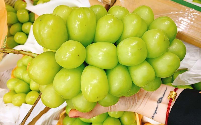 Loại nho to hơn trứng gà: Giá 7 triệu/chùm, có tiền cũng khó mua ảnh 5