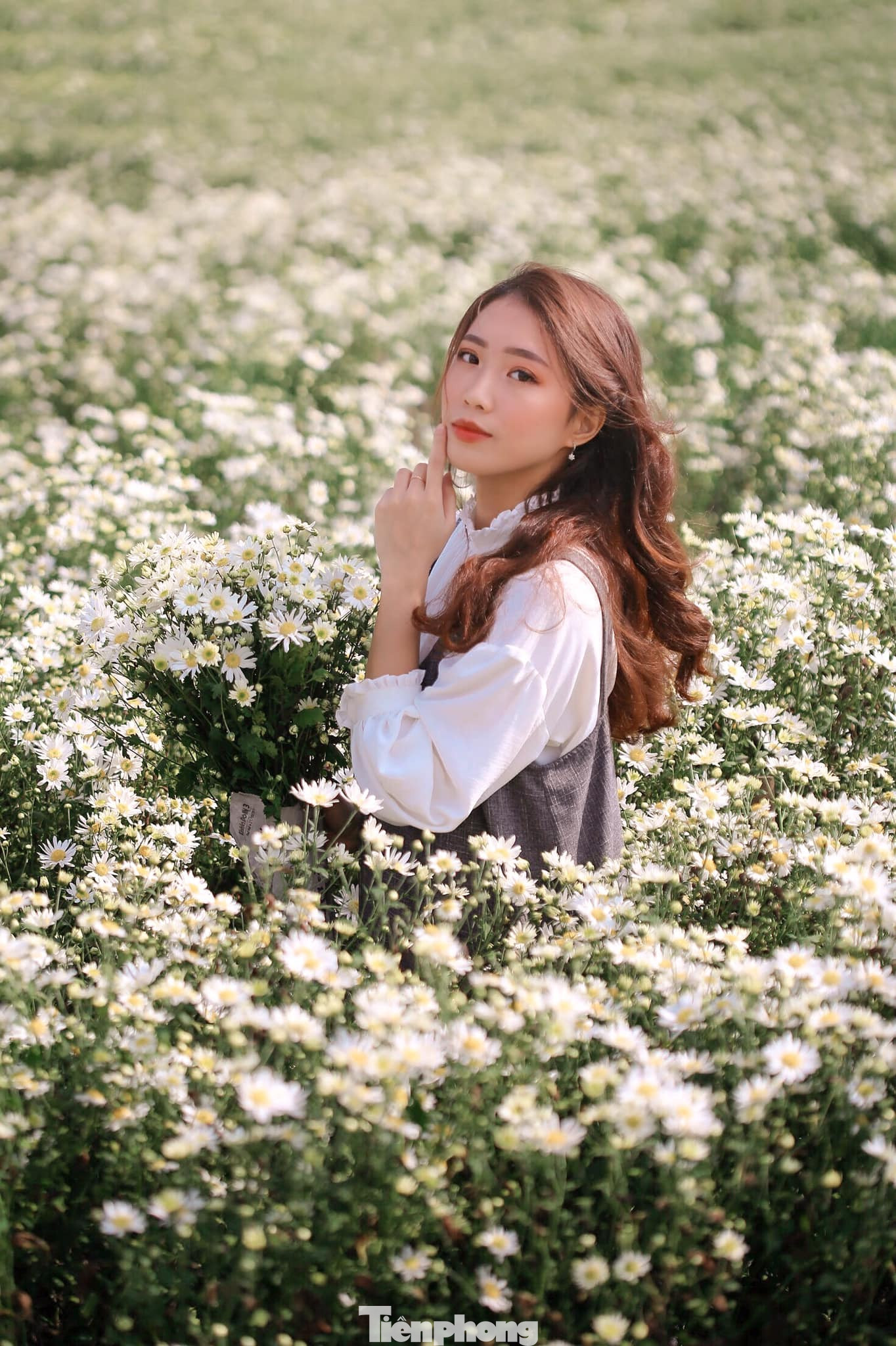 Nghìn người chen chân chụp ảnh cúc họa mi, dịch vụ 'ăn theo' hốt bạc ảnh 6