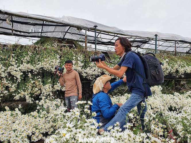 Nghìn người chen chân chụp ảnh cúc họa mi, dịch vụ 'ăn theo' hốt bạc ảnh 3