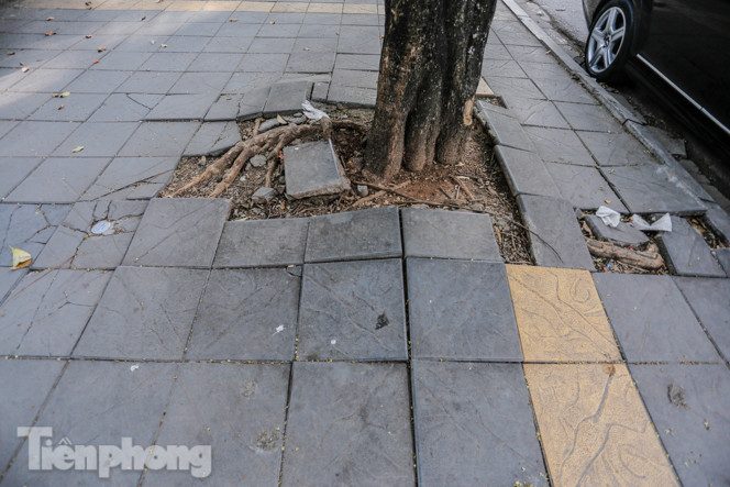 Sau ba năm lát, đá 'độ bền 70 năm' và gạch vỉa hè nhiều nơi vỡ nát ảnh 4