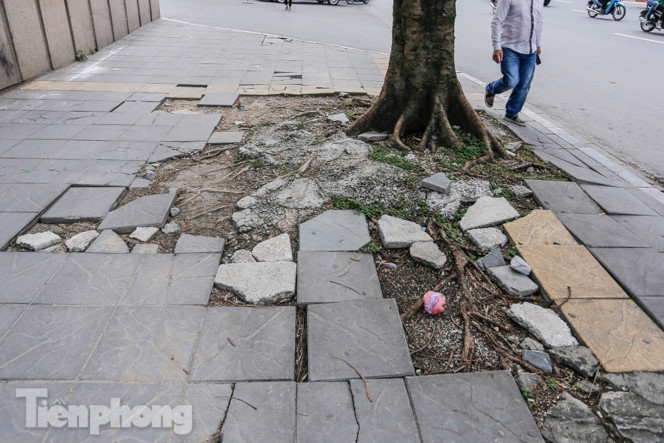 Sau ba năm lát, đá 'độ bền 70 năm' và gạch vỉa hè nhiều nơi vỡ nát ảnh 8