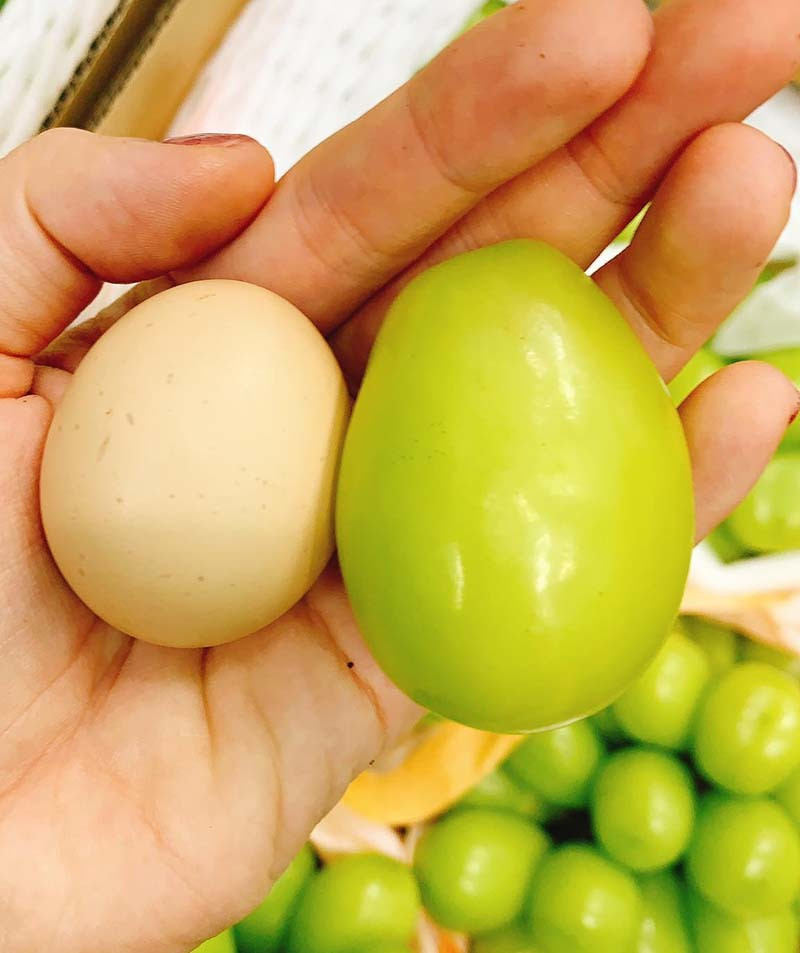 Loại nho to hơn trứng gà: Giá 7 triệu/chùm, có tiền cũng khó mua ảnh 4