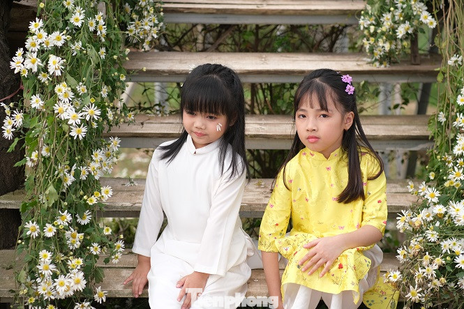 Nghìn người chen chân chụp ảnh cúc họa mi, dịch vụ 'ăn theo' hốt bạc ảnh 13