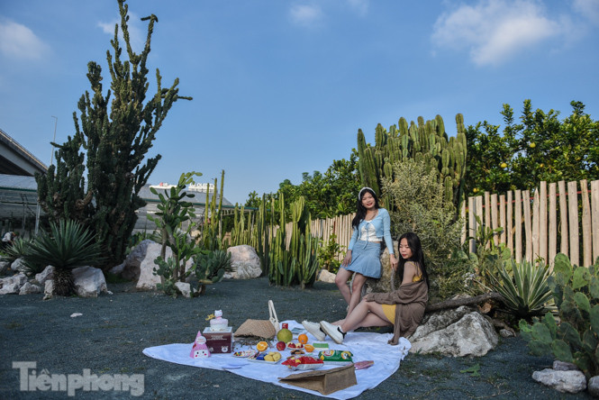 Vườn xương rồng độc đáo giữa Hà Nội ảnh 6