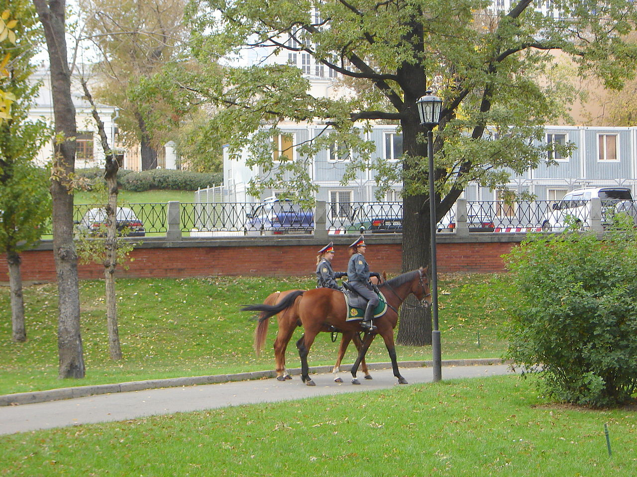 Lợi thế của cảnh sát kị binh ở các nước ảnh 7