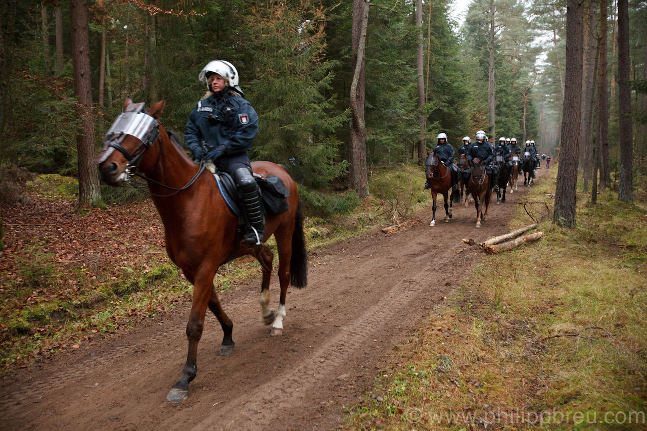 Lợi thế của cảnh sát kị binh ở các nước ảnh 2