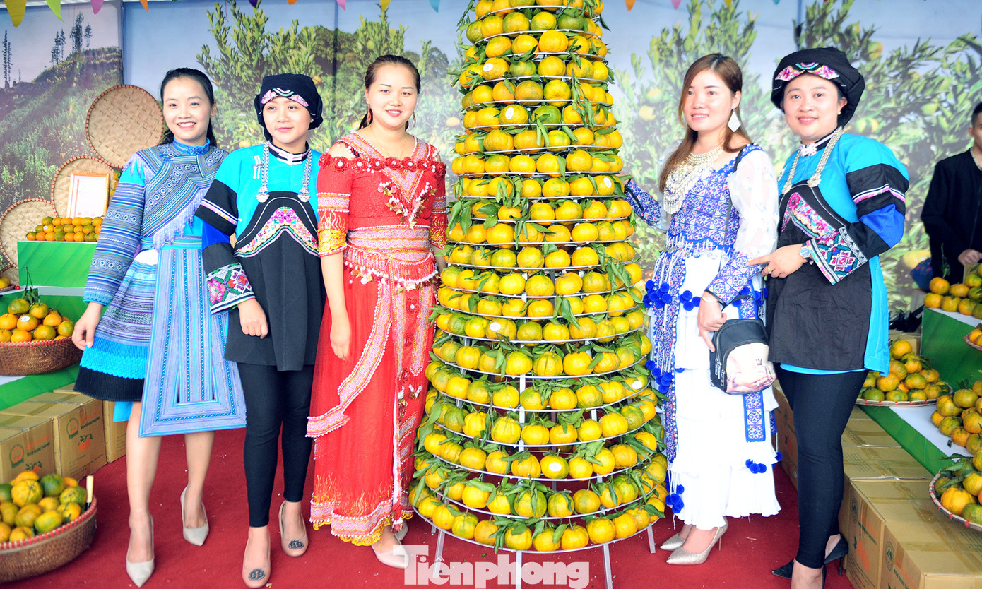 Tuần lễ quýt ngọt biên giới Mường Khương tại Hà Nội ảnh 4