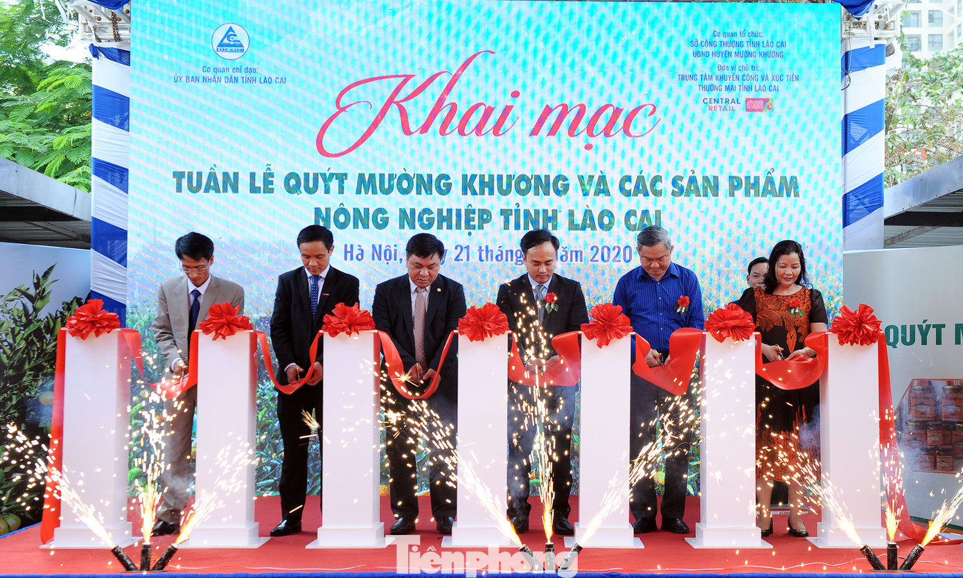 Tuần lễ quýt ngọt biên giới Mường Khương tại Hà Nội ảnh 1