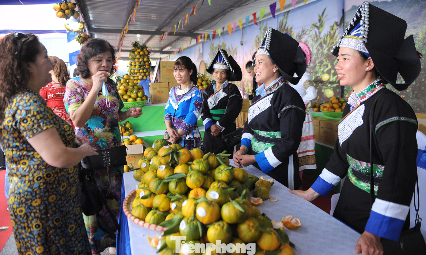 Tuần lễ quýt ngọt biên giới Mường Khương tại Hà Nội ảnh 6