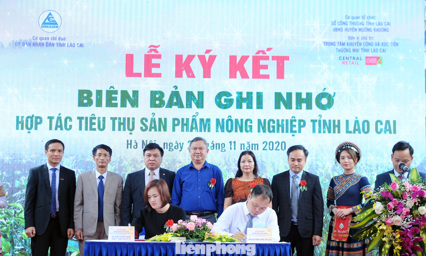 Tuần lễ quýt ngọt biên giới Mường Khương tại Hà Nội ảnh 7