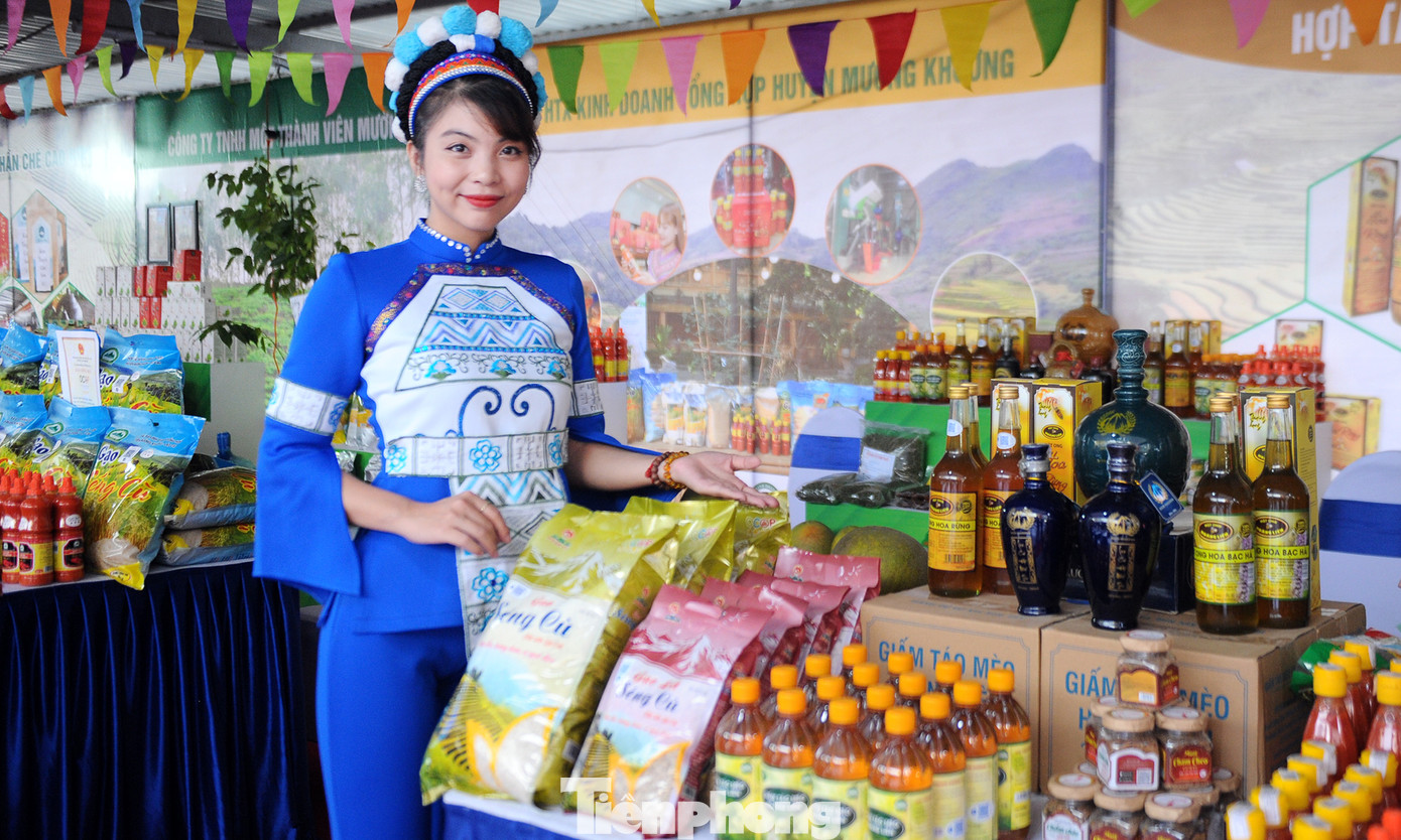 Tuần lễ quýt ngọt biên giới Mường Khương tại Hà Nội ảnh 2