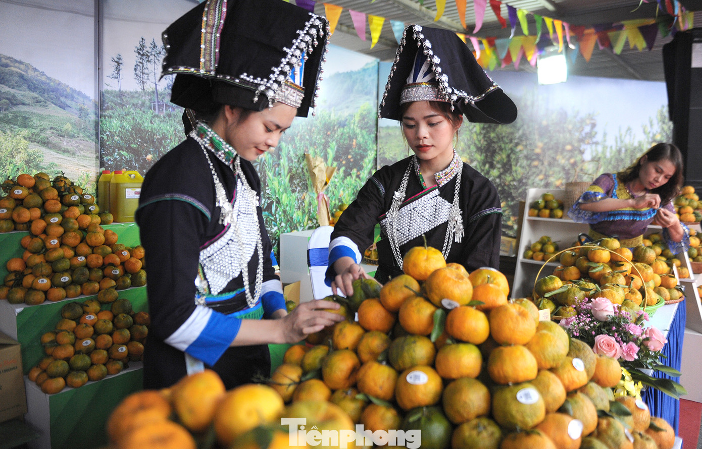 Tuần lễ quýt ngọt biên giới Mường Khương tại Hà Nội ảnh 3