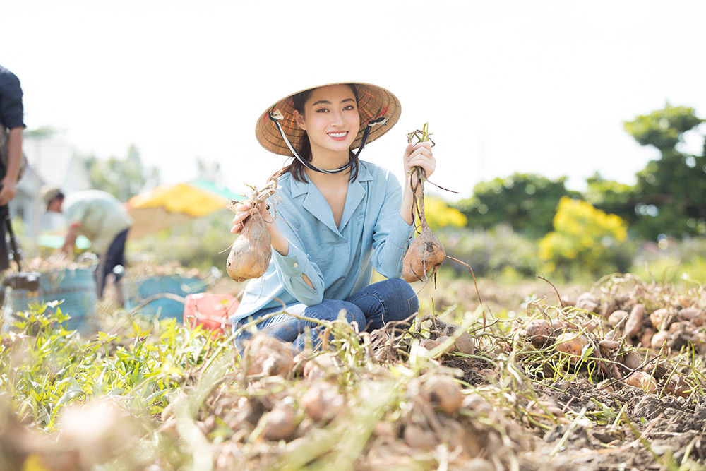 Lương Thuỳ Linh thử làm nông dân, khoe nhan sắc xinh đẹp rạng rỡ giữa vườn cam ảnh 10