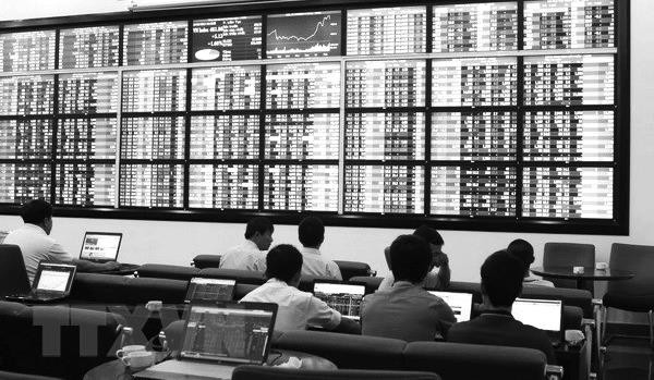 Thị trường chứng khoán: Lại đổ tiền theo phong trào? ảnh 1