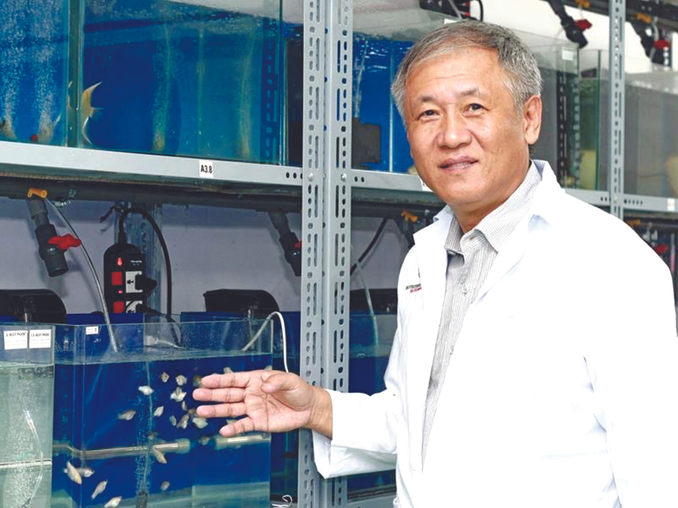 Vị tiến sỹ Việt kiều và chuyện 'chặt cầu qua sông ảnh 1