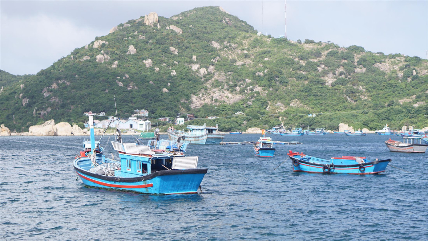 Toàn cảnh lễ trao giải tác phẩm học tập Chủ tịch Hồ Chí Minh ảnh 11