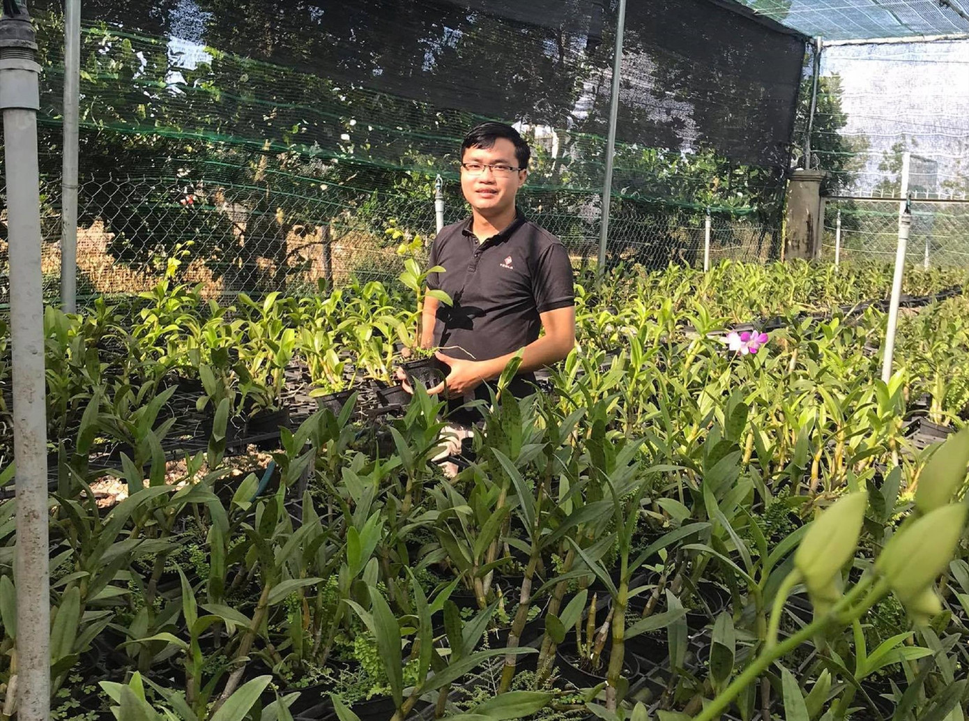 Chuyện những người bỏ phố về quê ảnh 1