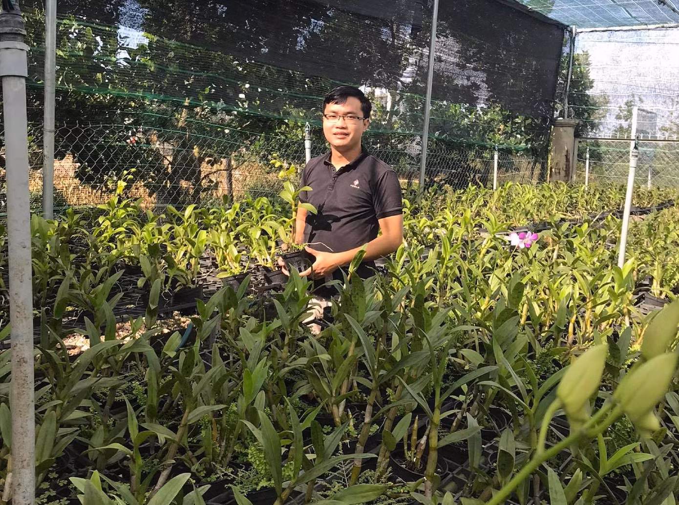 Chuyện những người bỏ phố về quê ảnh 1
