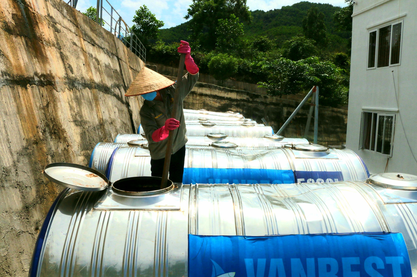 Nước mắm của loại hải sản đắt như vàng ròng ảnh 1