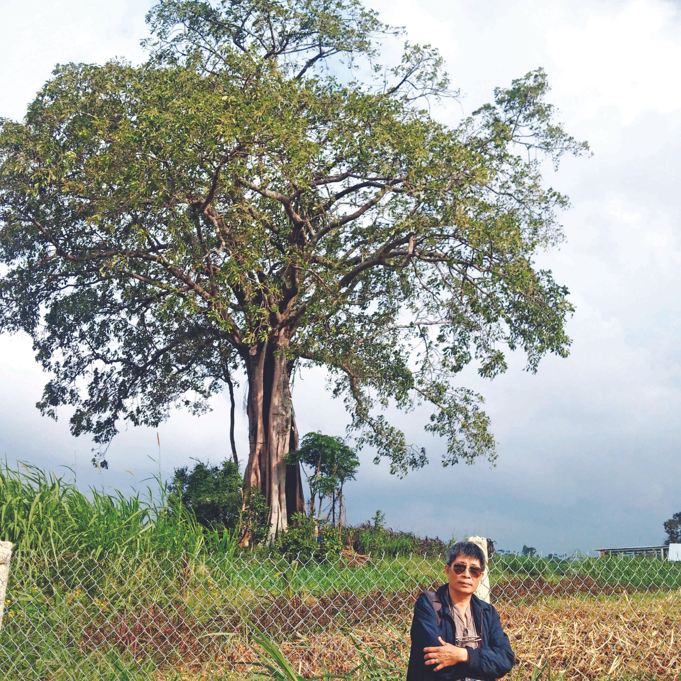 Về nơi loài người bắt đầu đứng thẳng ảnh 7