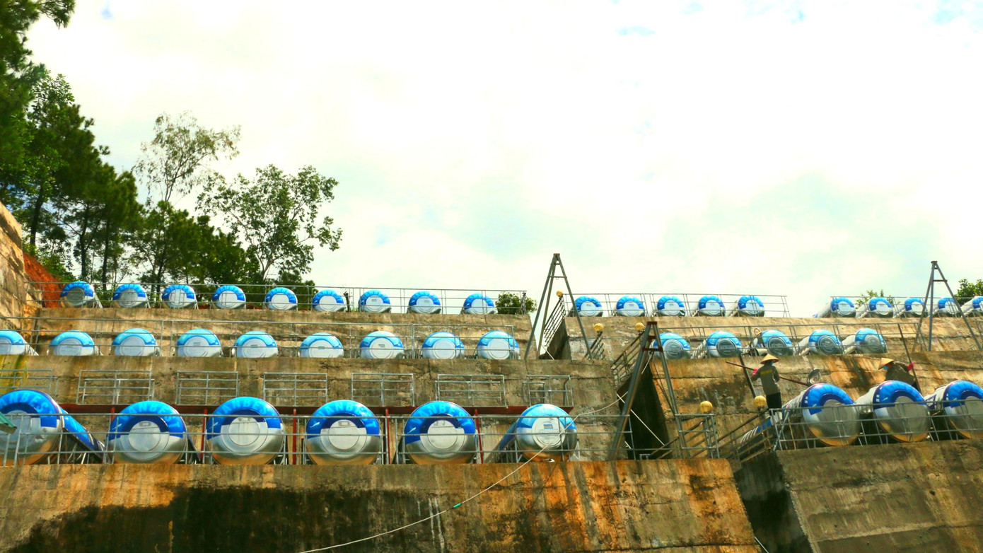 Nước mắm của loại hải sản đắt như vàng ròng ảnh 2